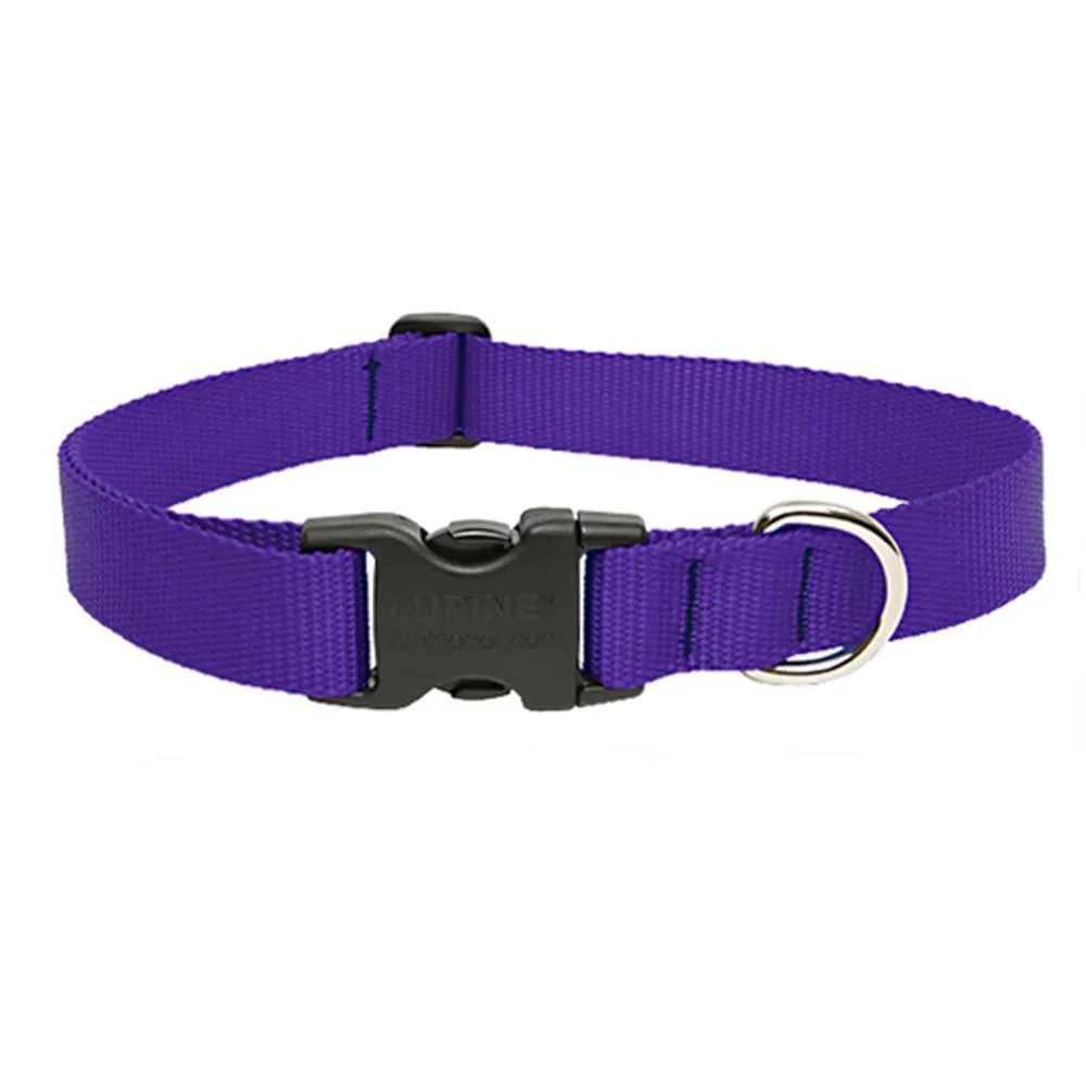 Adjustable Nylon Dog Collars