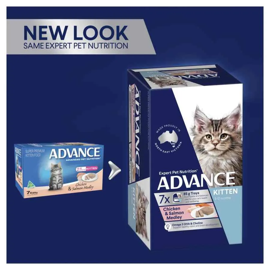 Advance Kitten Salmon Chicken