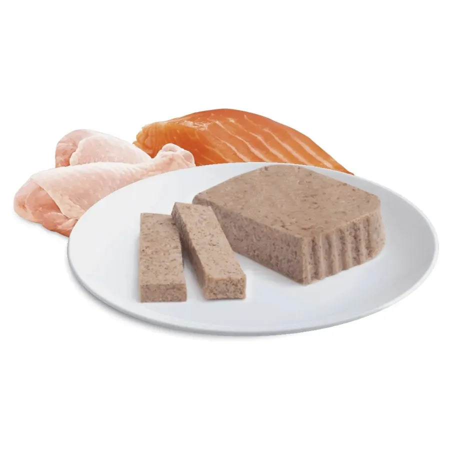 Advance Kitten Salmon Chicken