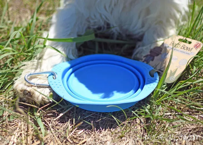 Beco Collapsible Travel Bowl