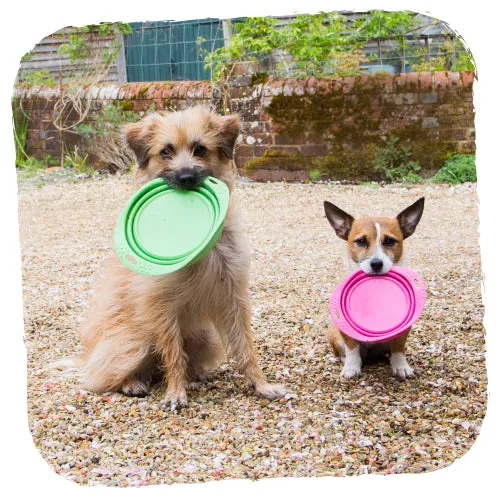 Beco Pets Collapsible Travel Bowl Green