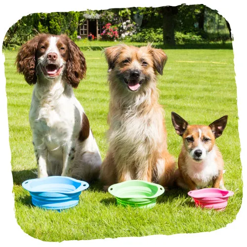 Beco Pets Collapsible Travel Bowl Green
