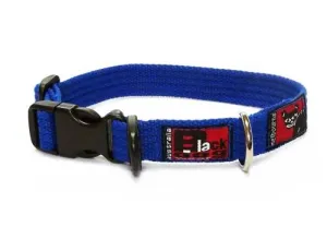 Black Dog Wear Standard Collar Small