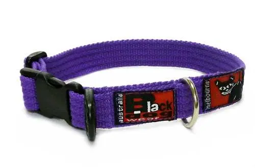 Black Dog Wear Standard Collar Small
