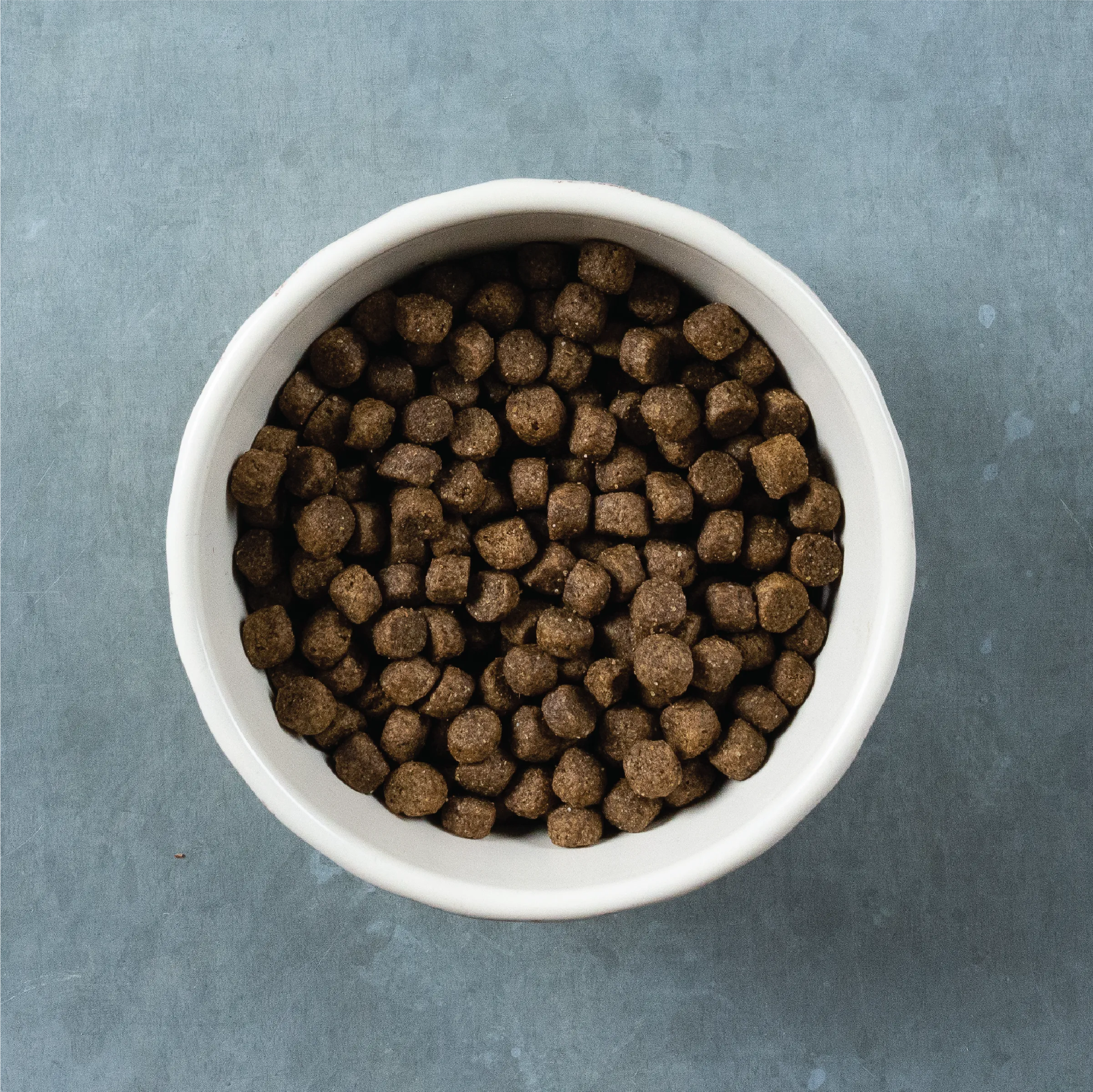 Classic Beef, Barley & Bison Dog Food | 3.5 LB, 14 LB | Evolve
