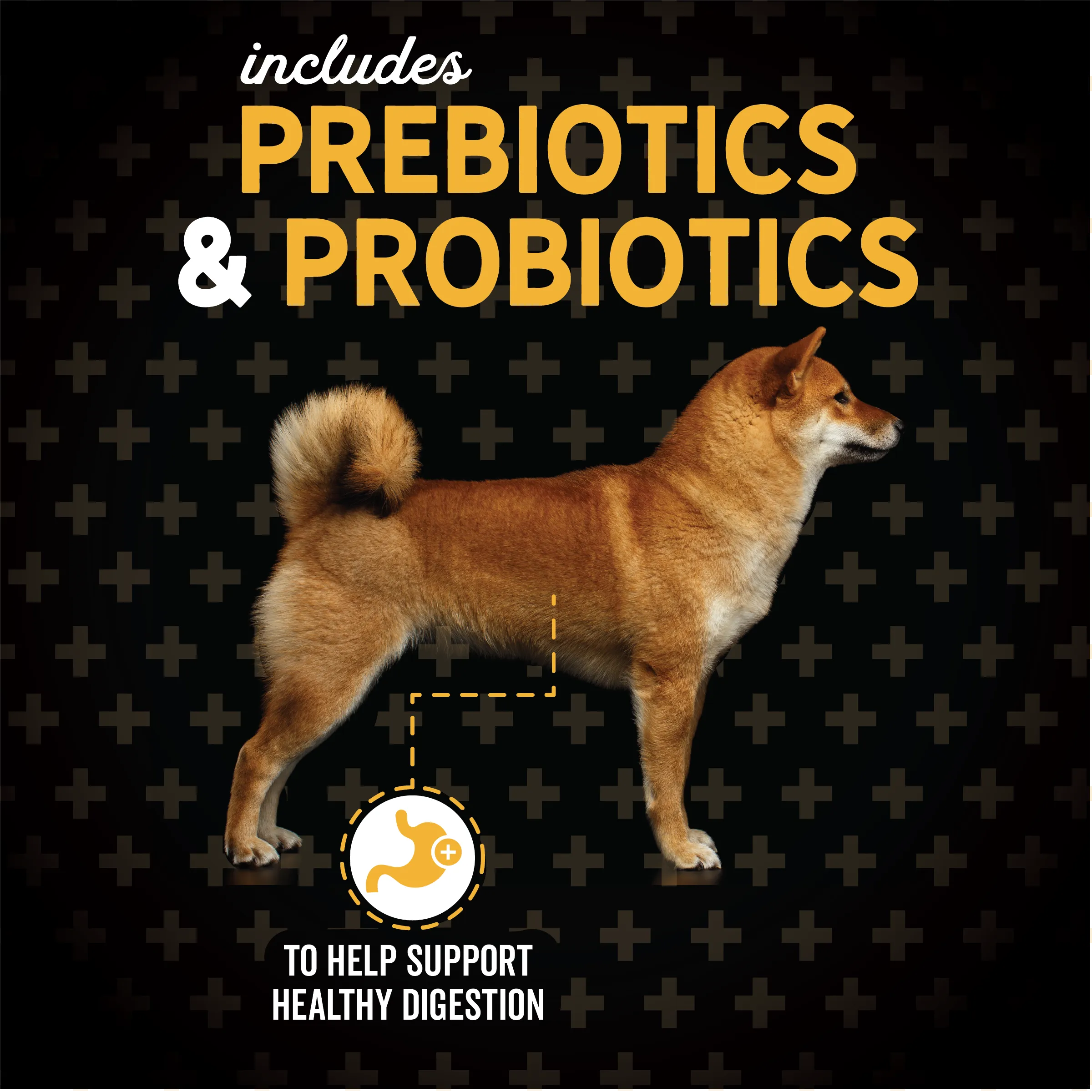 Classic Beef, Barley & Bison Dog Food | 3.5 LB, 14 LB | Evolve