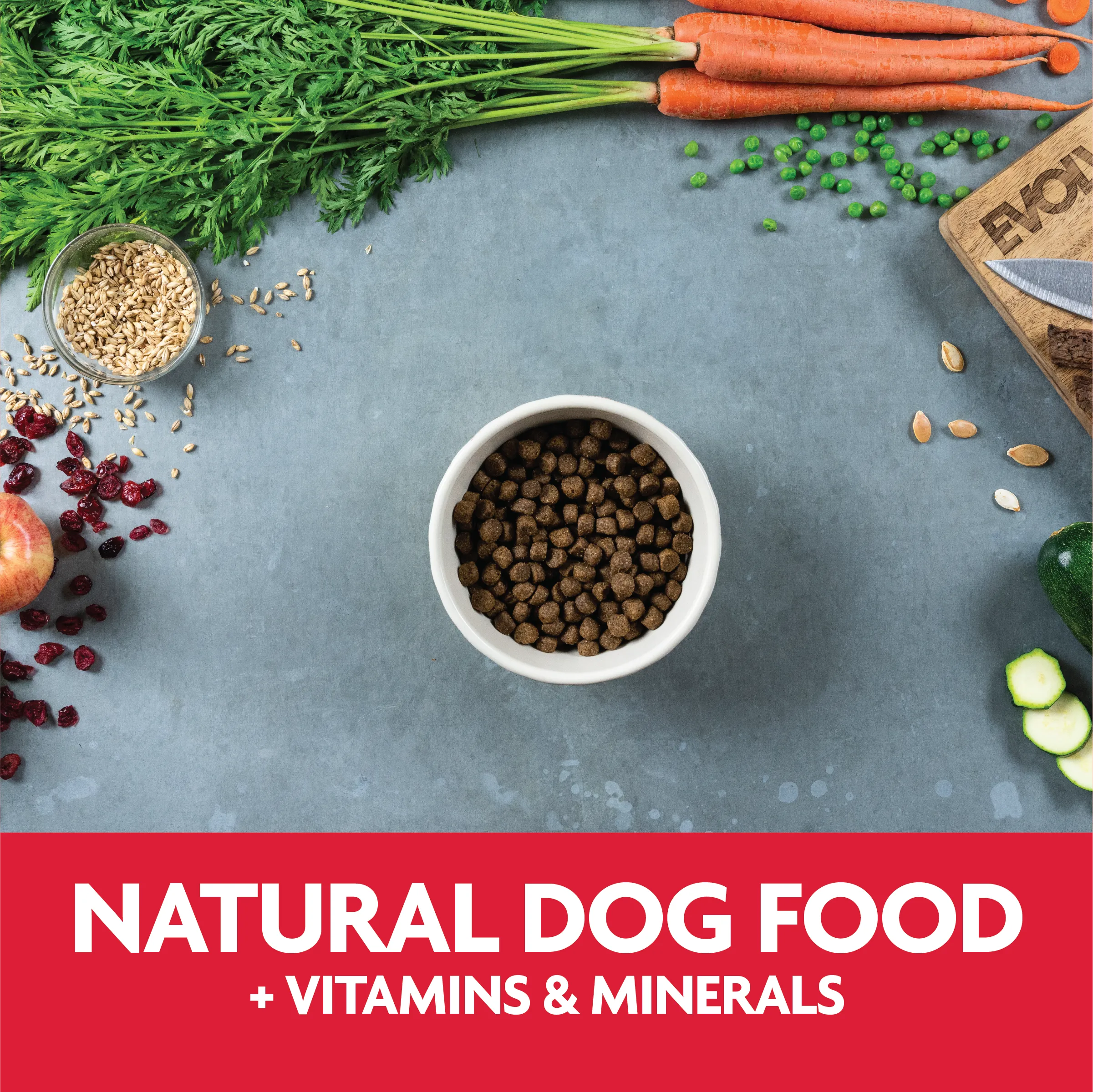 Classic Beef, Barley & Bison Dog Food | 3.5 LB, 14 LB | Evolve