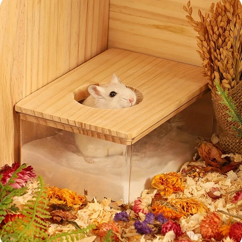 Clear Rectangular Dualpurpose Hamster Bath Basin  Small Pet Bathroom Solves Two Purposes