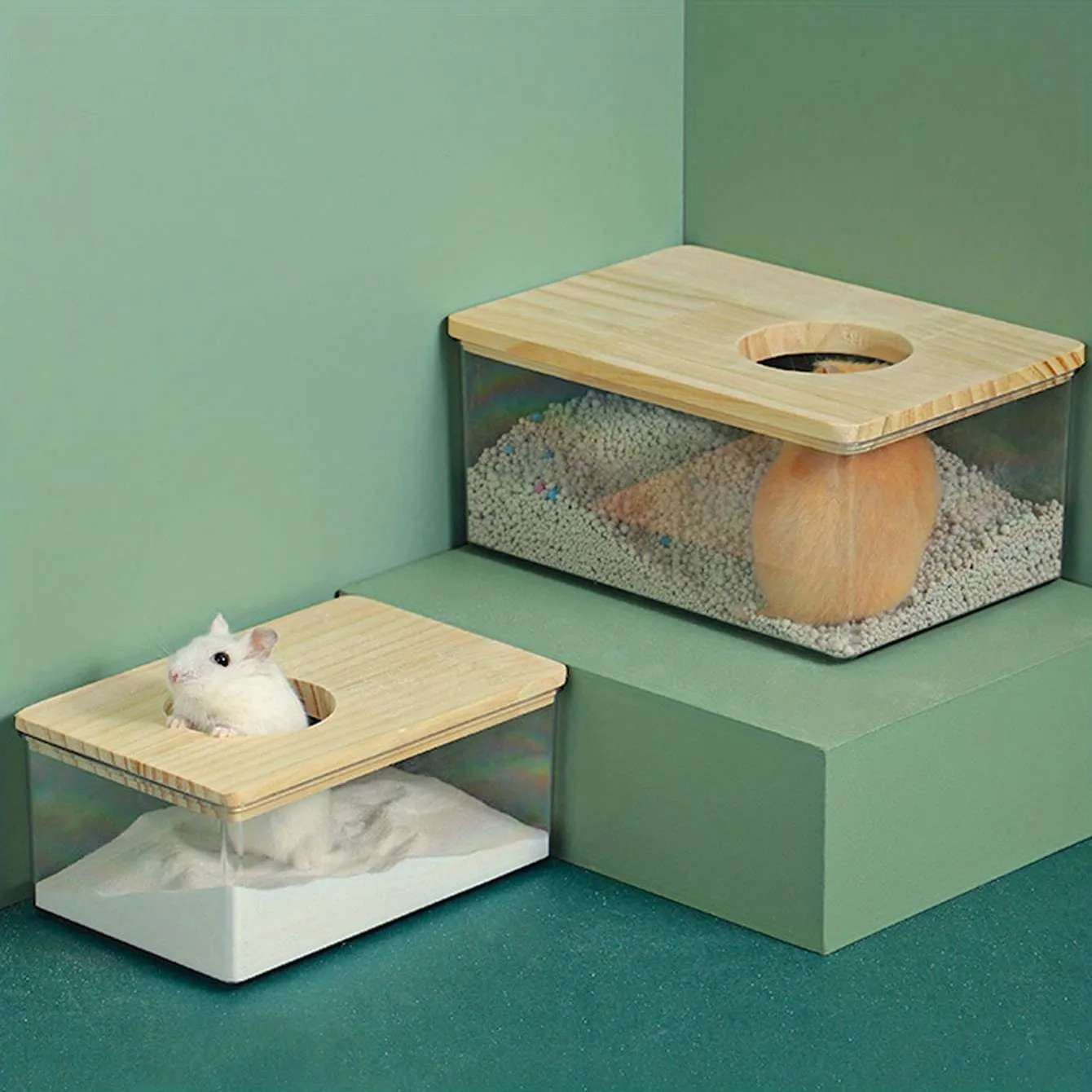 Clear Rectangular Dualpurpose Hamster Bath Basin  Small Pet Bathroom Solves Two Purposes