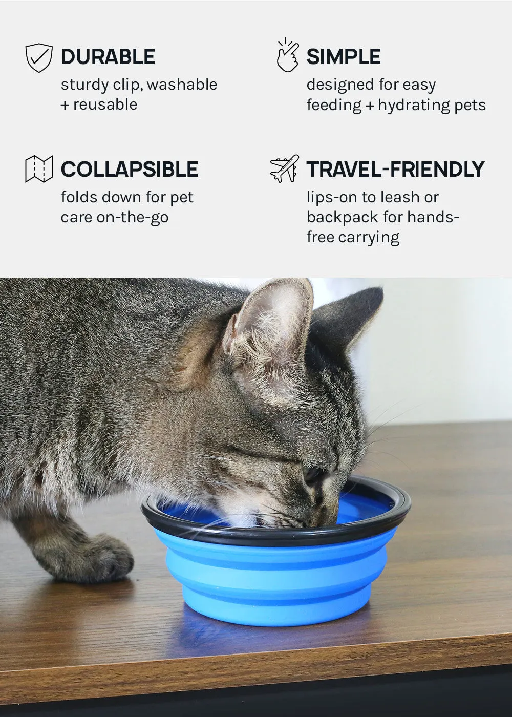 Collapsible Pet Bowl