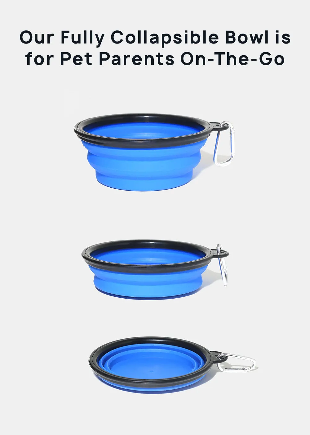 Collapsible Pet Bowl