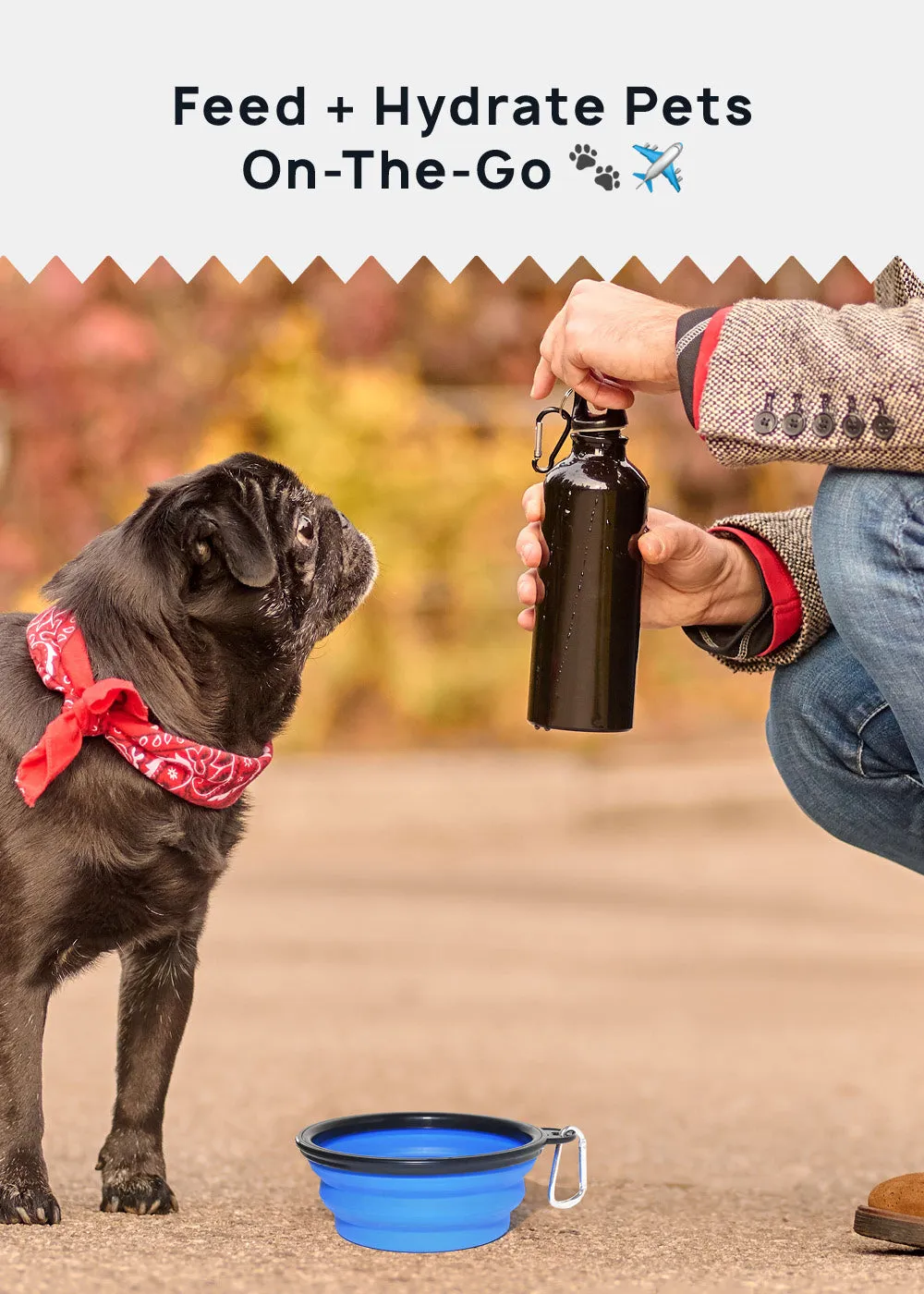 Collapsible Pet Bowl