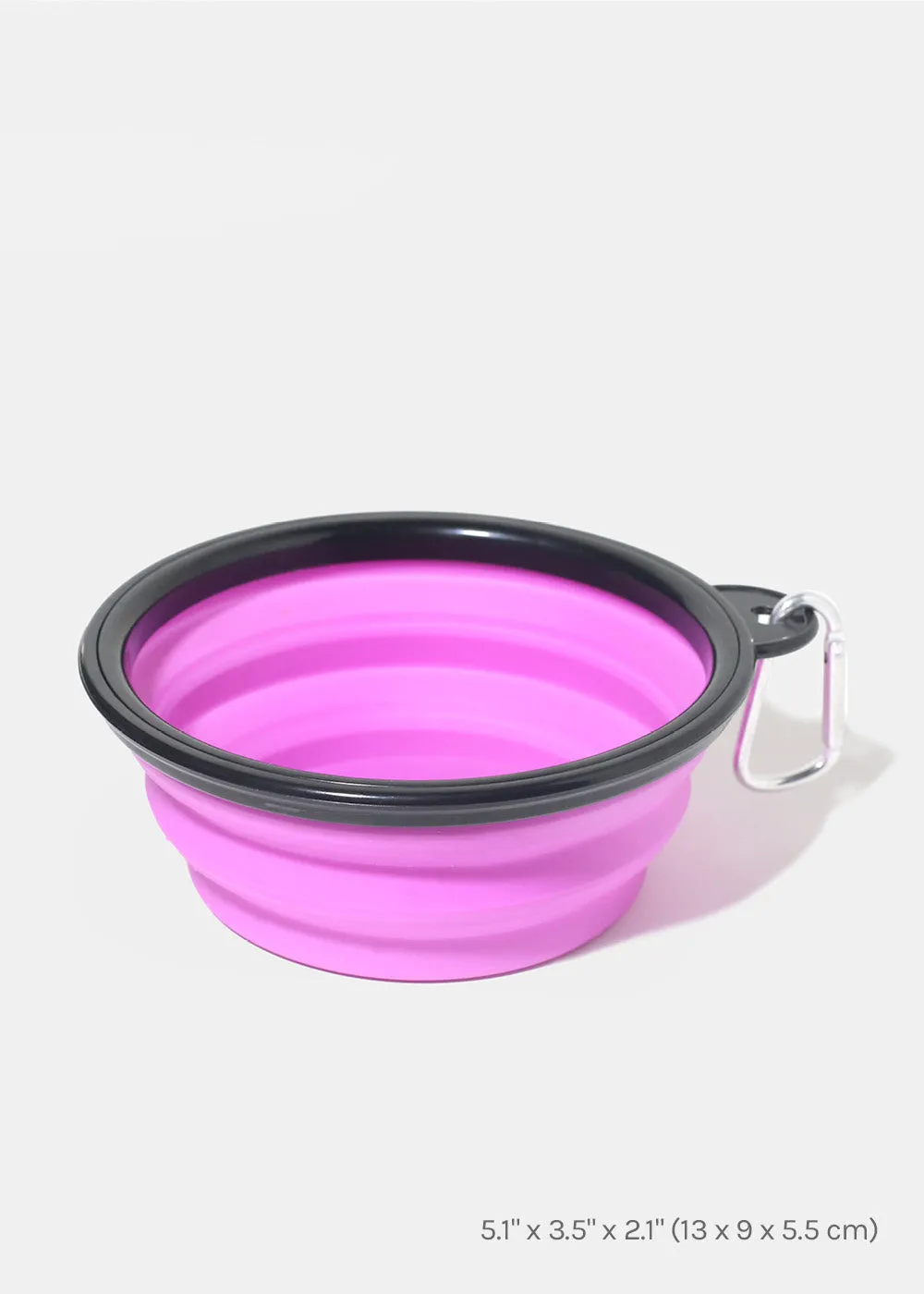 Collapsible Pet Bowl