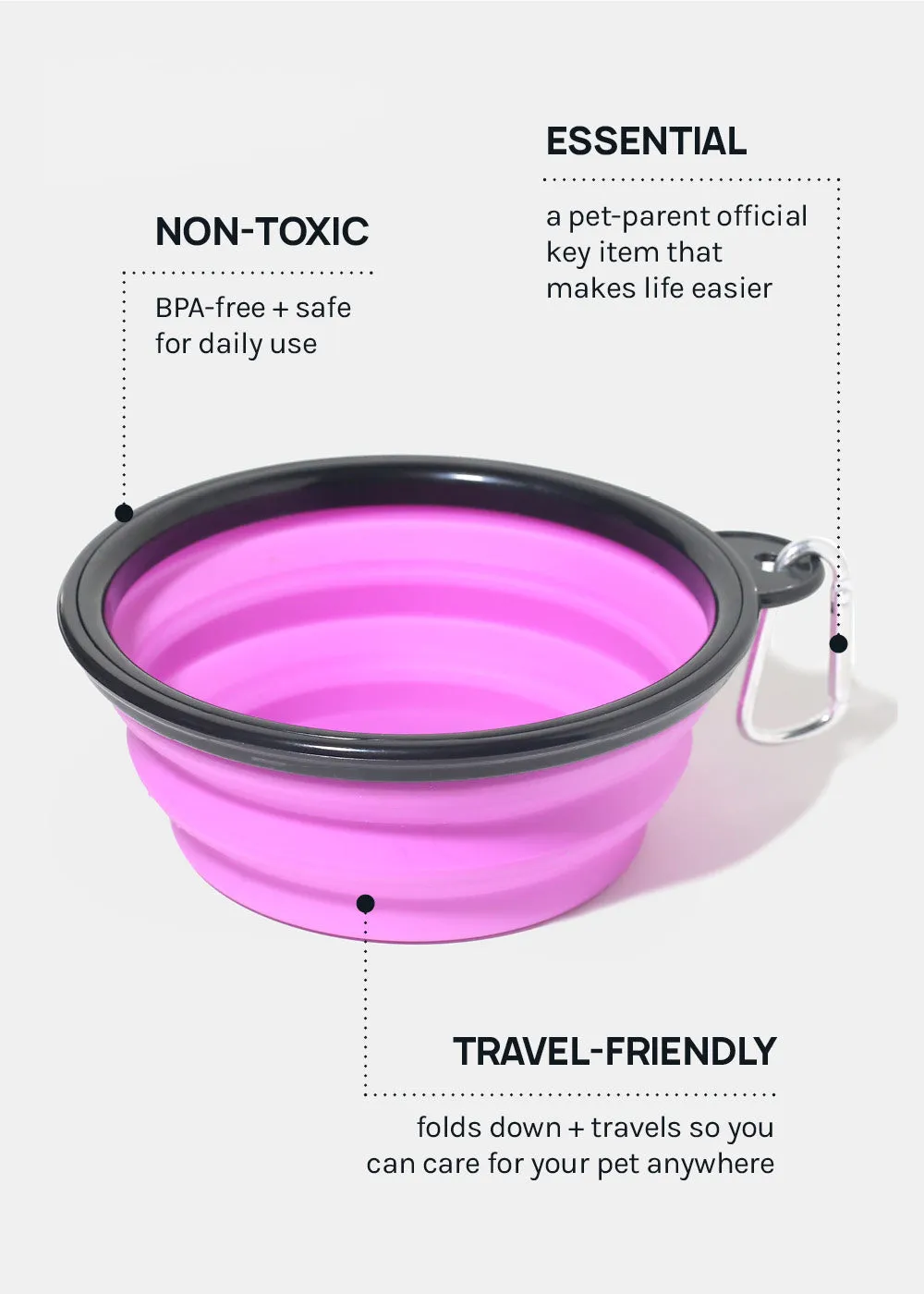 Collapsible Pet Bowl