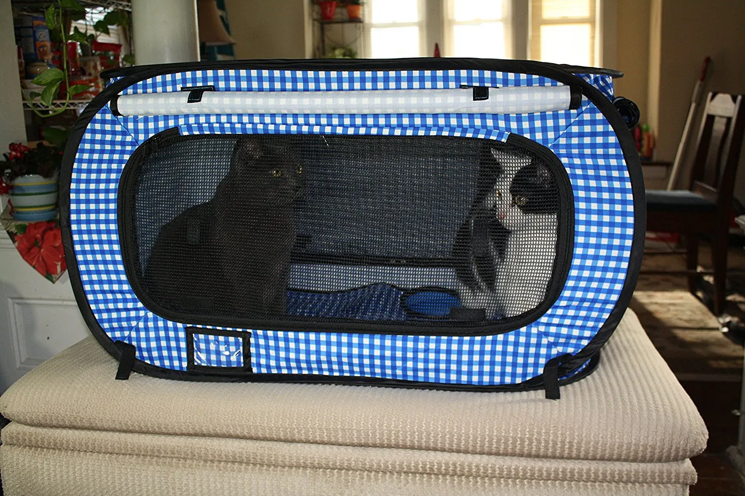 Extra Large Collapsible Cat Condo, Litter Box, Bowl and Cat Wand