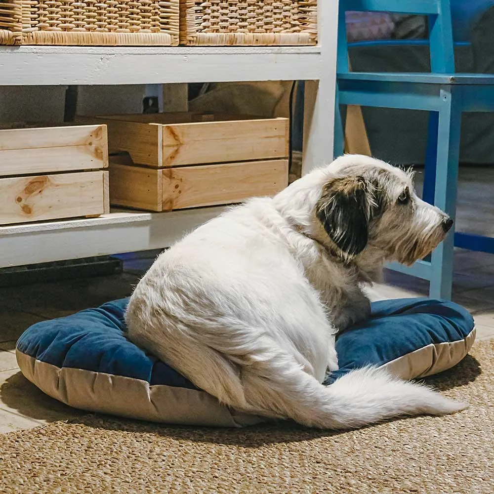 FERPLAST Prince 65/6 Cushion for Dogs and Cats to fit Siesta 6 Beds