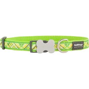 Fianno Lime Green Collar 25mm (1" Wide - 16-24" Length)