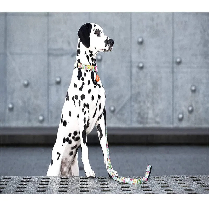 Flea & Tick Prevention Non-toxic Ultrasonic Collar Tag For Pets