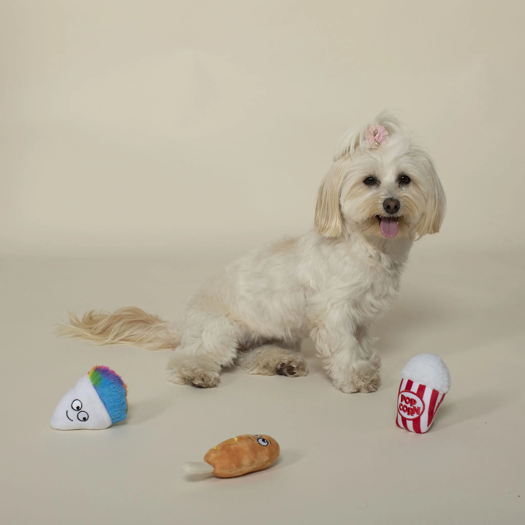 Fringe Cheat Day Snacks Dog Toys