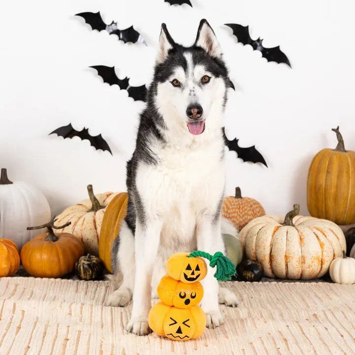 Fringe Dog Toy Halloween Stack-O-Lantern