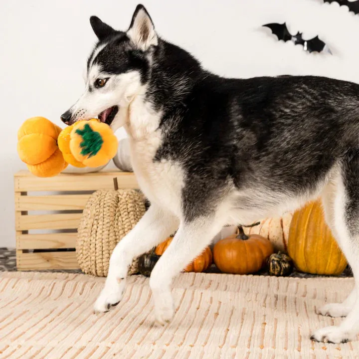 Fringe Dog Toy Halloween Stack-O-Lantern