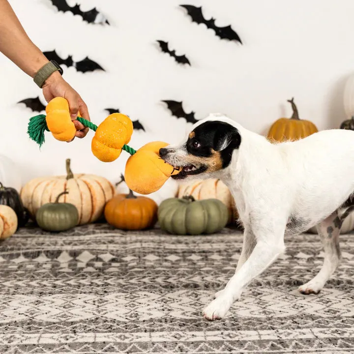 Fringe Dog Toy Halloween Stack-O-Lantern