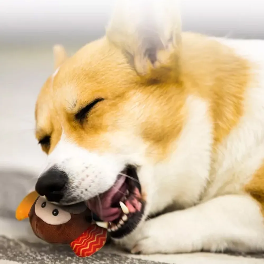 GiGwi Plush Friendz Tug Dog Toy (Monkey)