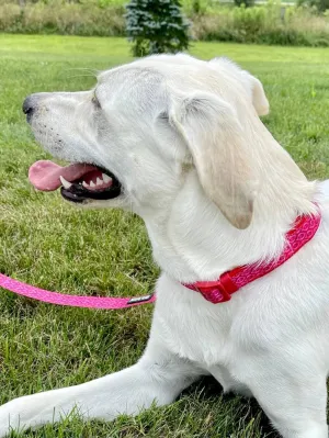 Hot Pink Boho Tribal Print Adjustable Fashion Dog Collar