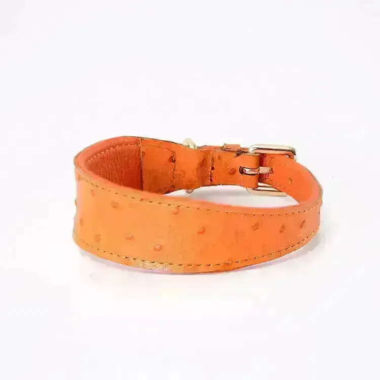 Leather Dog Collar - Style F
