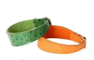 Leather Dog Collar - Style F
