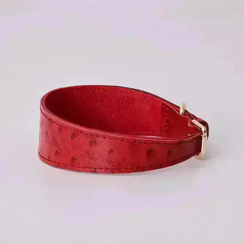 Leather Dog Collar - Style F