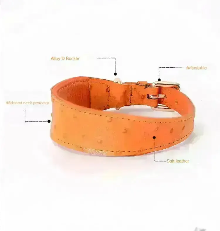 Leather Dog Collar - Style F