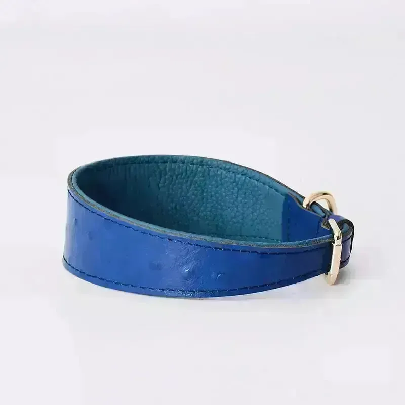 Leather Dog Collar - Style F