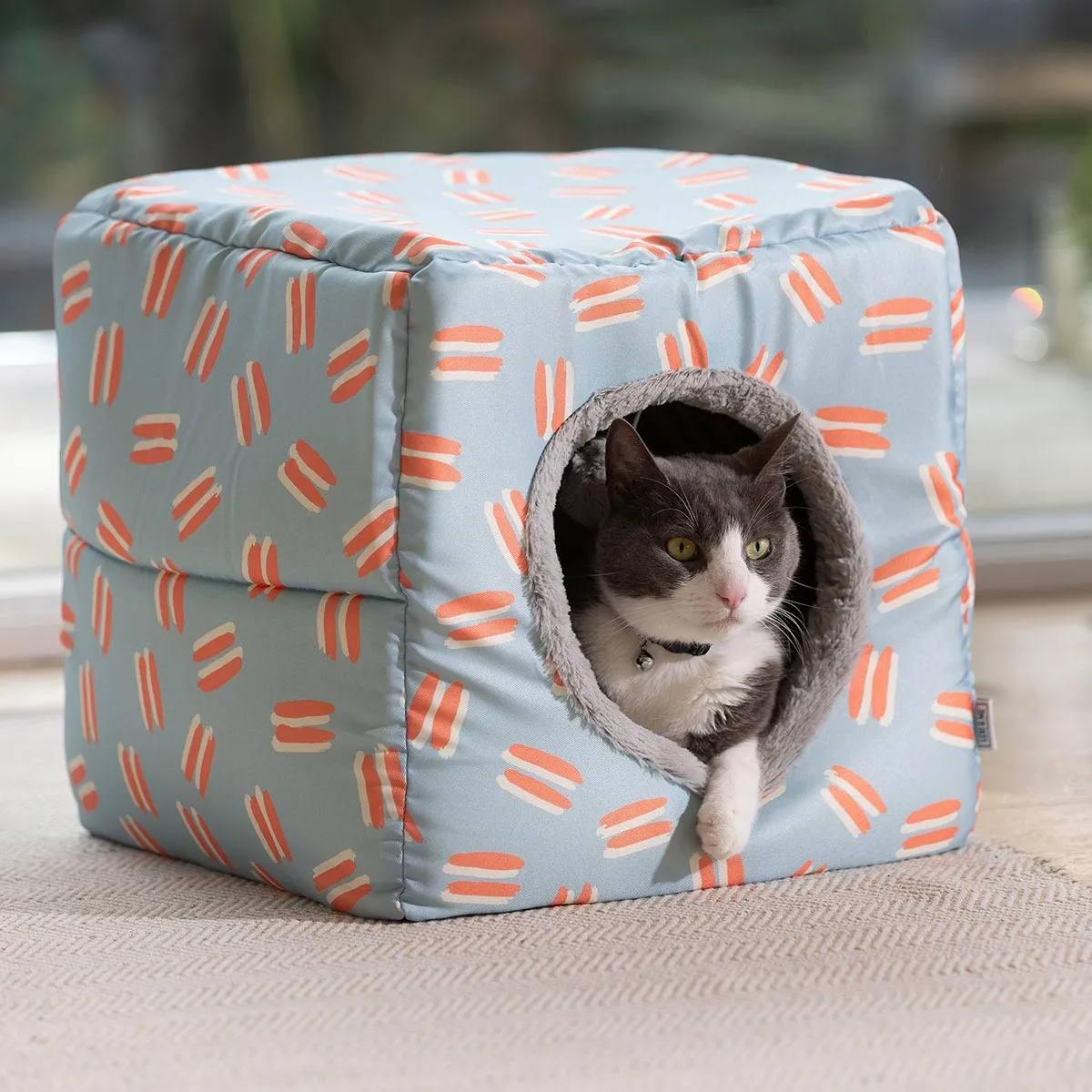 Lexi & Me Cat Cube Brushed Sherbet