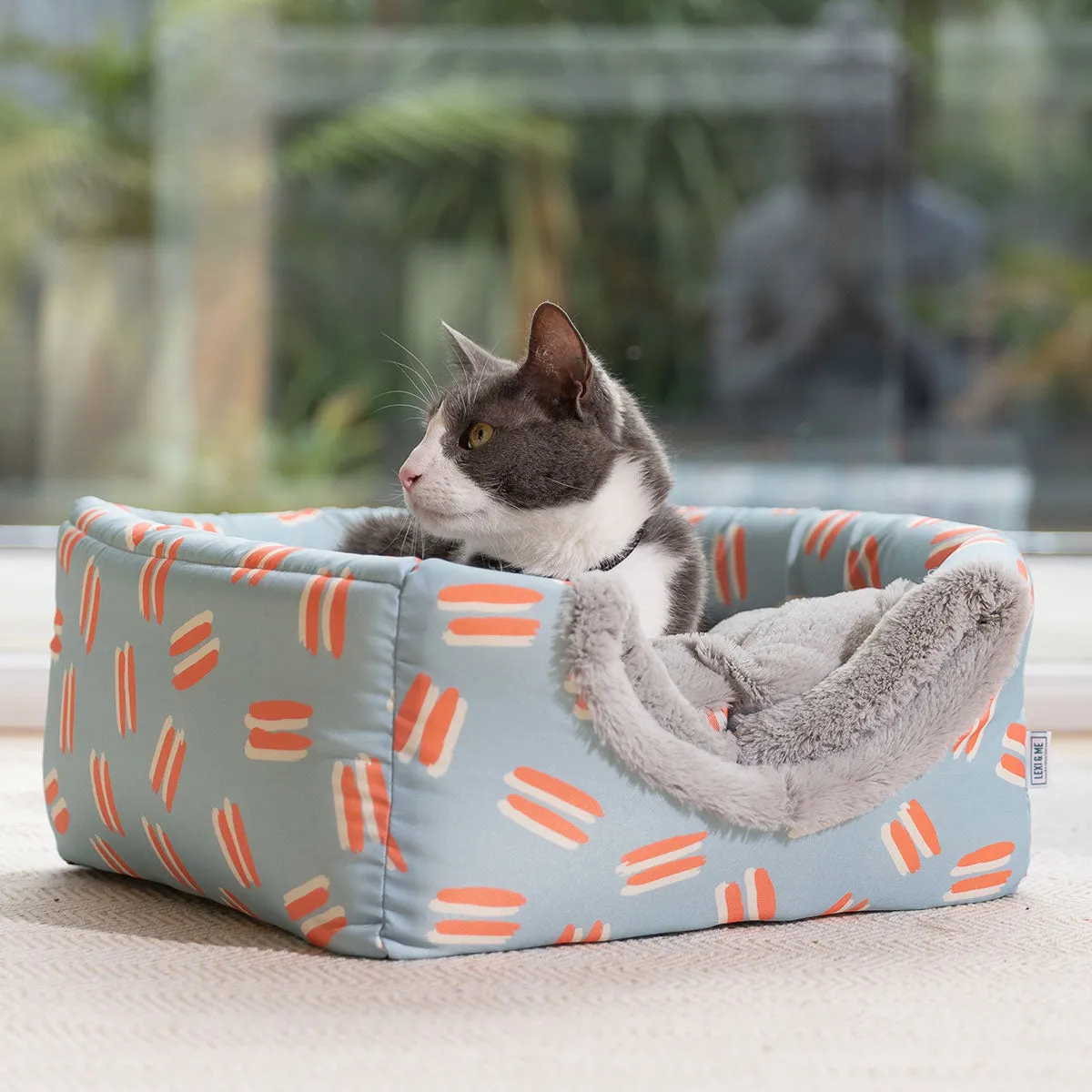 Lexi & Me Cat Cube Brushed Sherbet