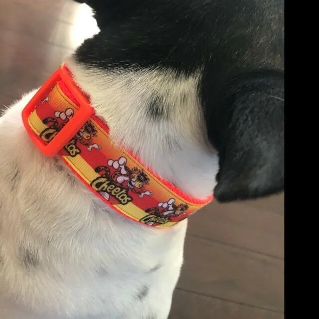 LGBT dog collar Handmade adjustable buckle collar 1" wide or leash Petcollarshandmade