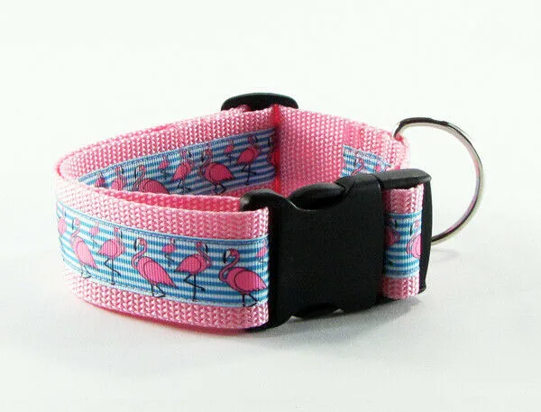 LGBT dog collar Handmade adjustable buckle collar 1" wide or leash Petcollarshandmade