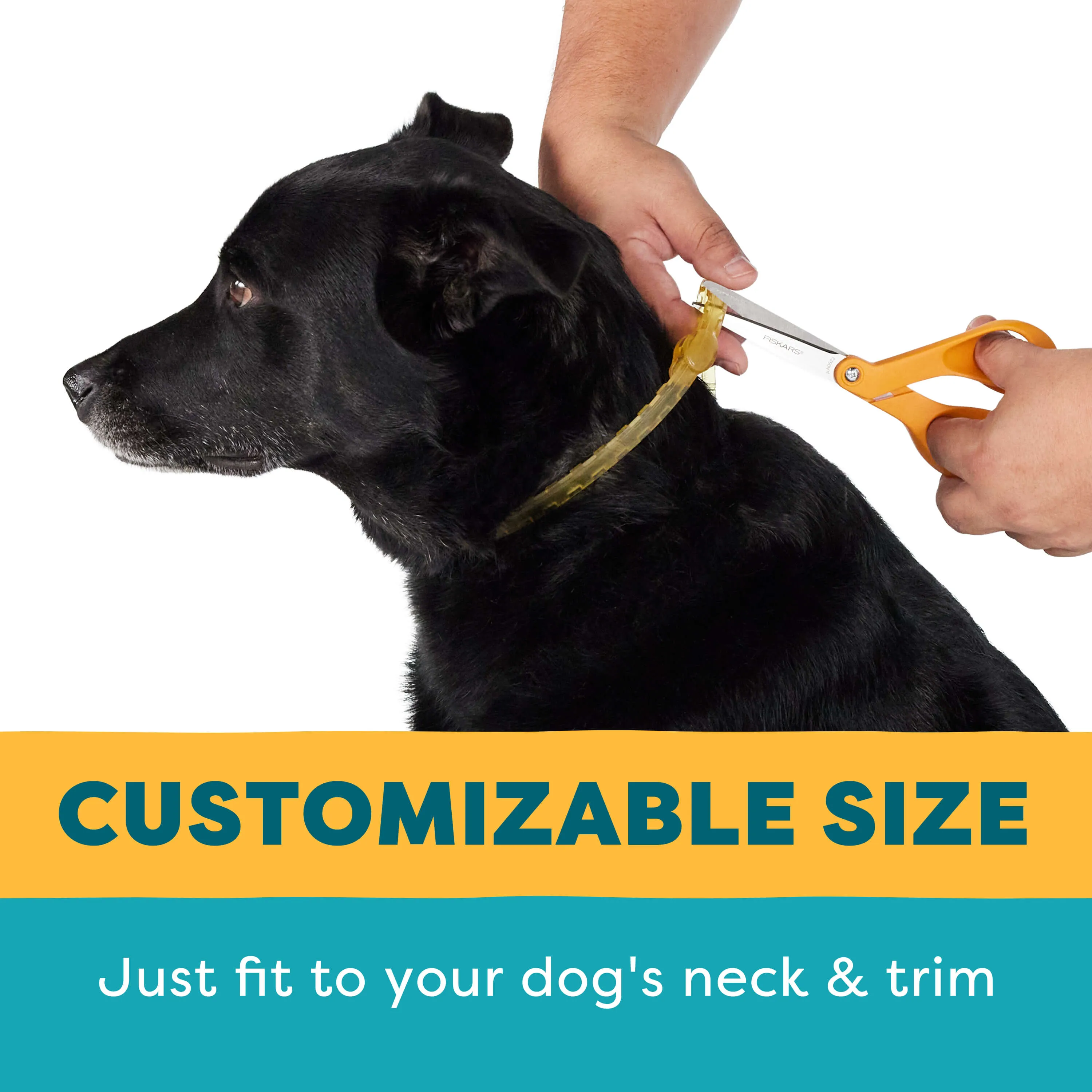 Only Natural Pet EasyDefense Flea & Tick Collar for Dogs