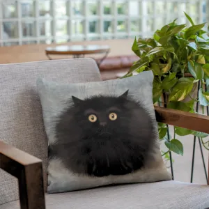 Oreo Cat Soft Feel Cushion