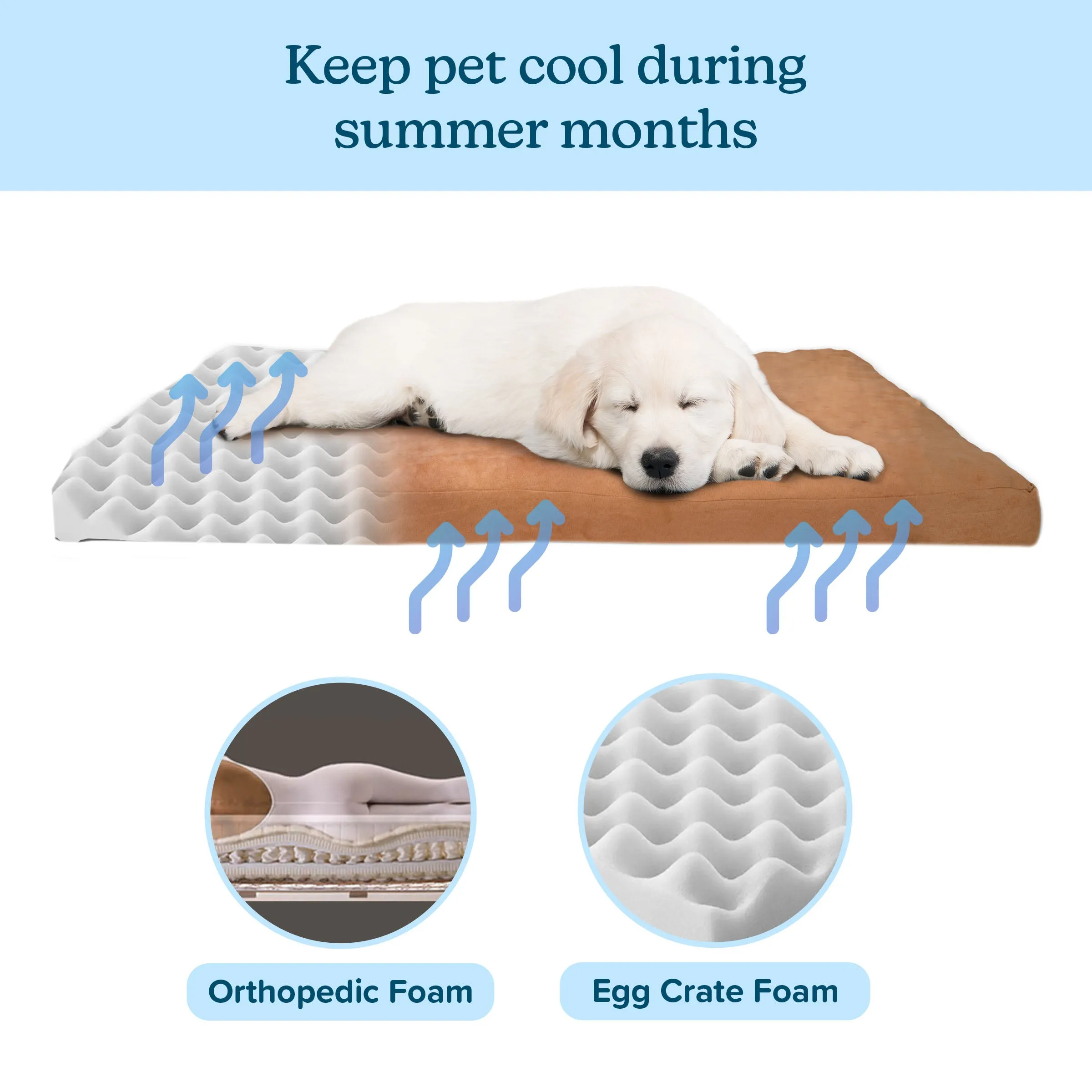 Orthopedic Dog Bed