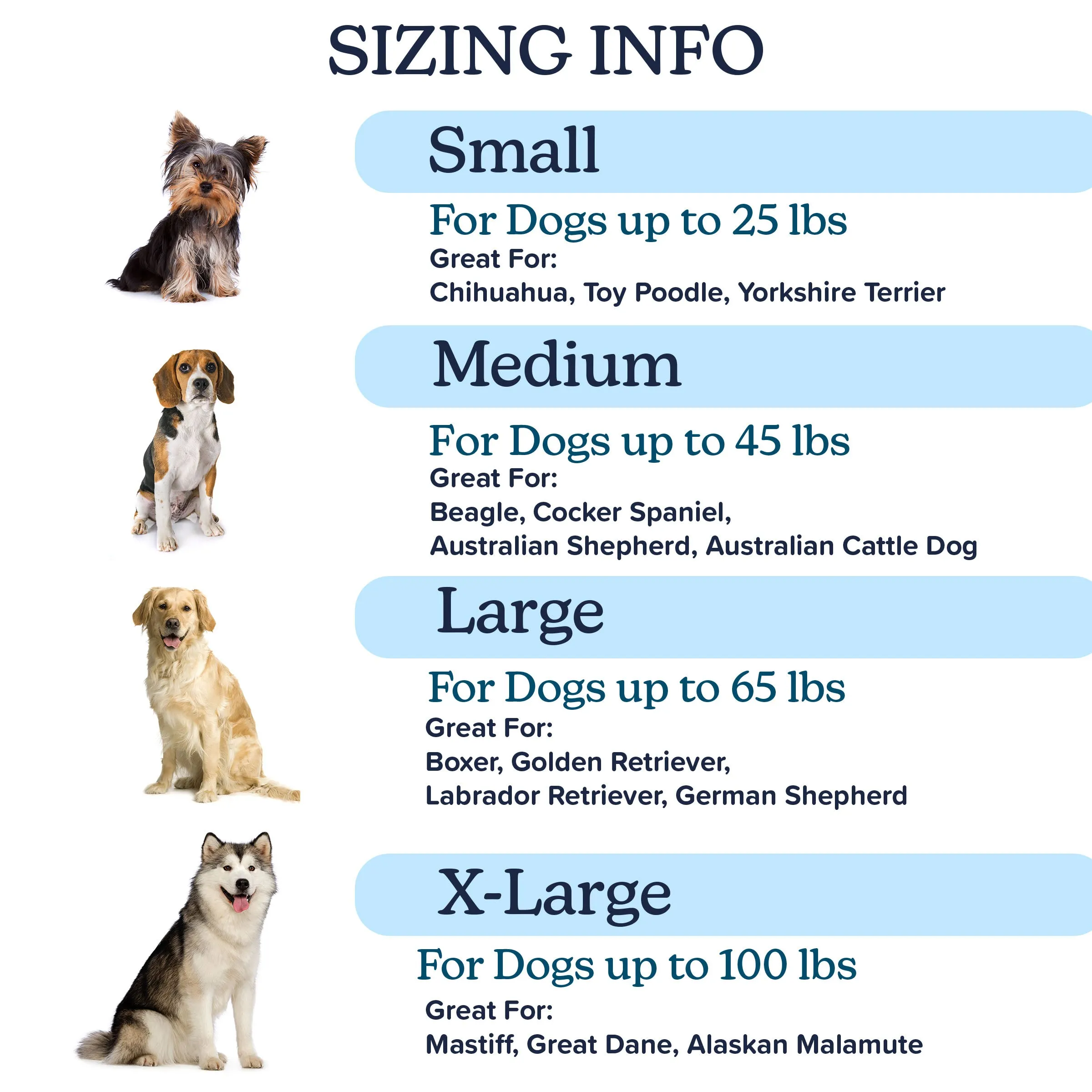 Orthopedic Dog Bed