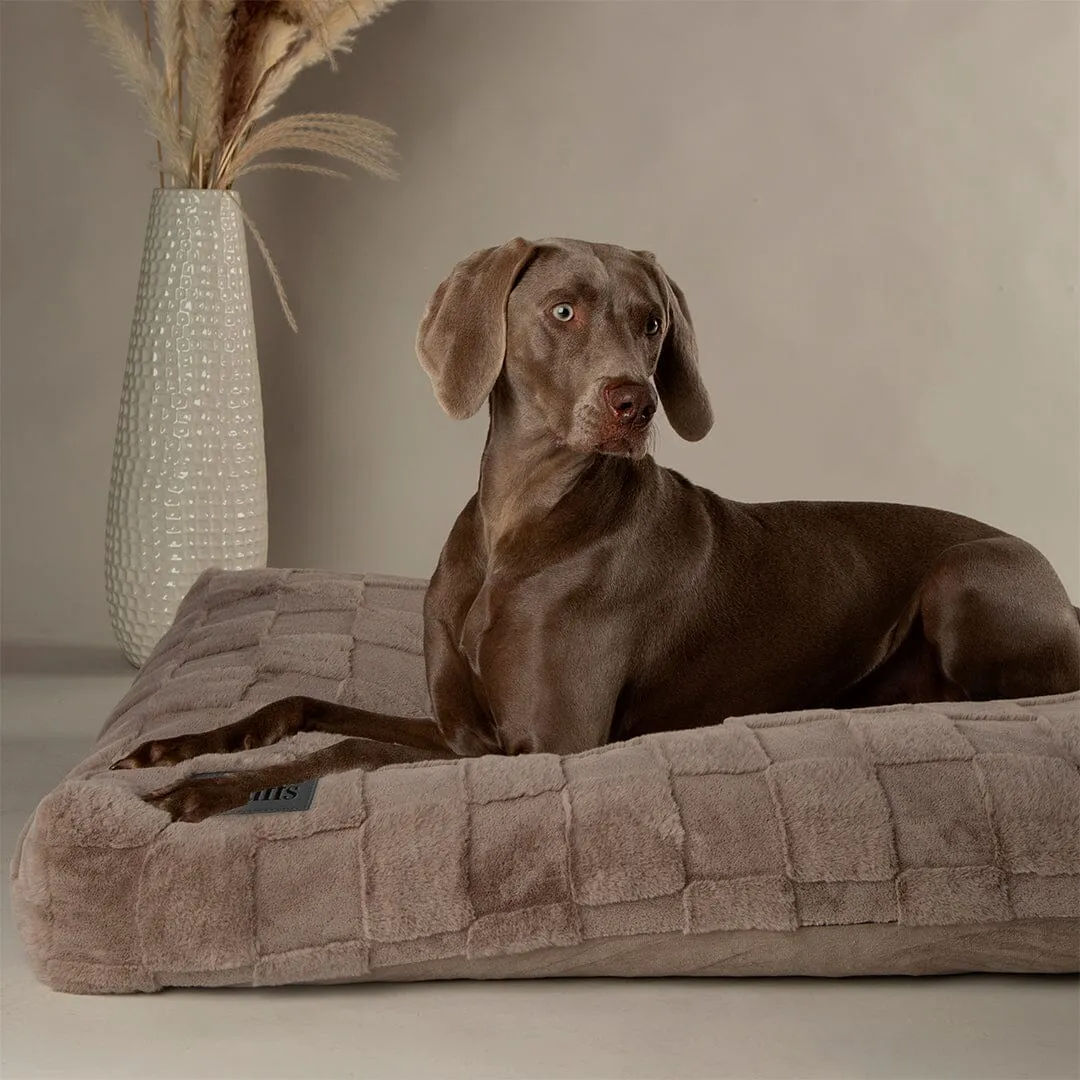 Oxford Orthopaedic Mattress - Silver