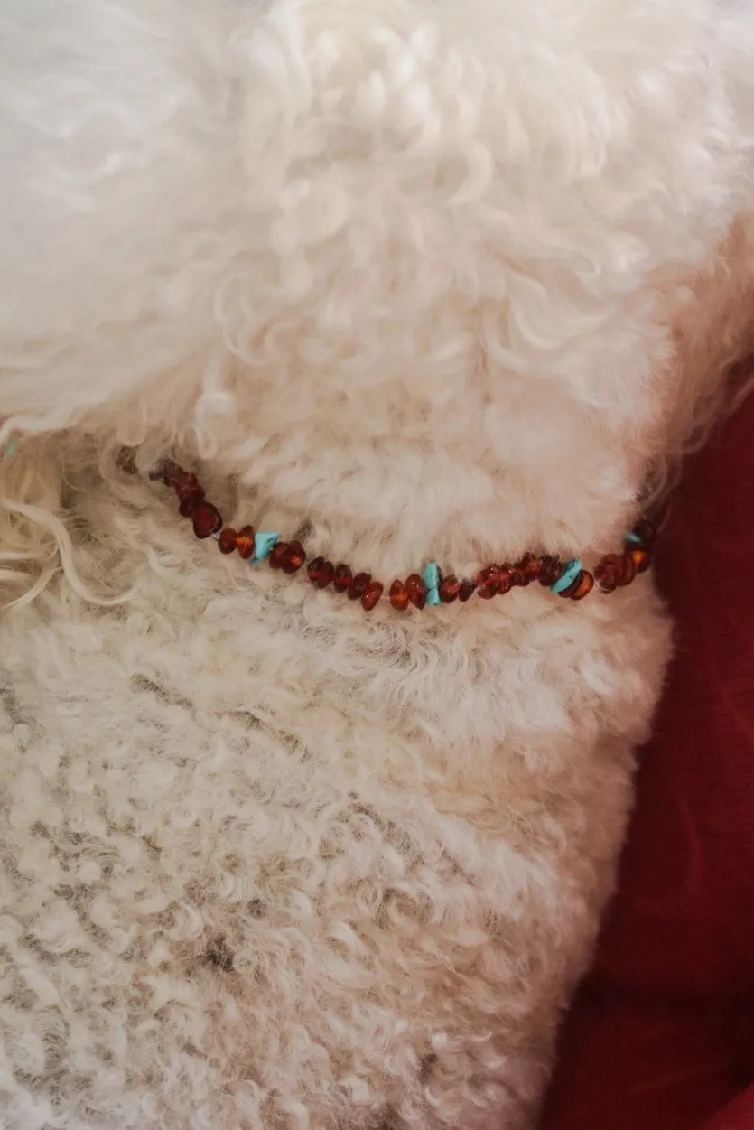 Pampered Pets Amber Collars | Lemon with Rose Quartz