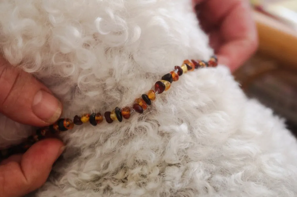 Pampered Pets Amber Collars | Lemon with Rose Quartz