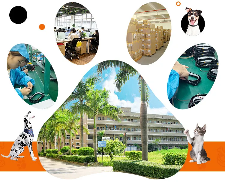 PAWS ASIA Factory Pet Feeding Eco Friendly Plastic Multi Color Travel Portable Slow Feeder Collapsible Dog Bowl
