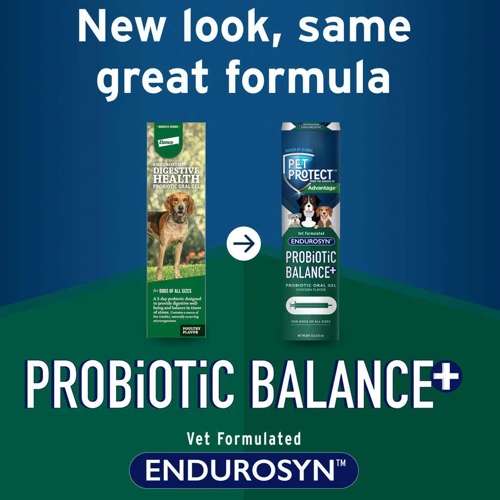 Pet Protect Probiotic Balance Plus Oral Gel Endurosyn for Dogs, Chicken Flavor, 32g