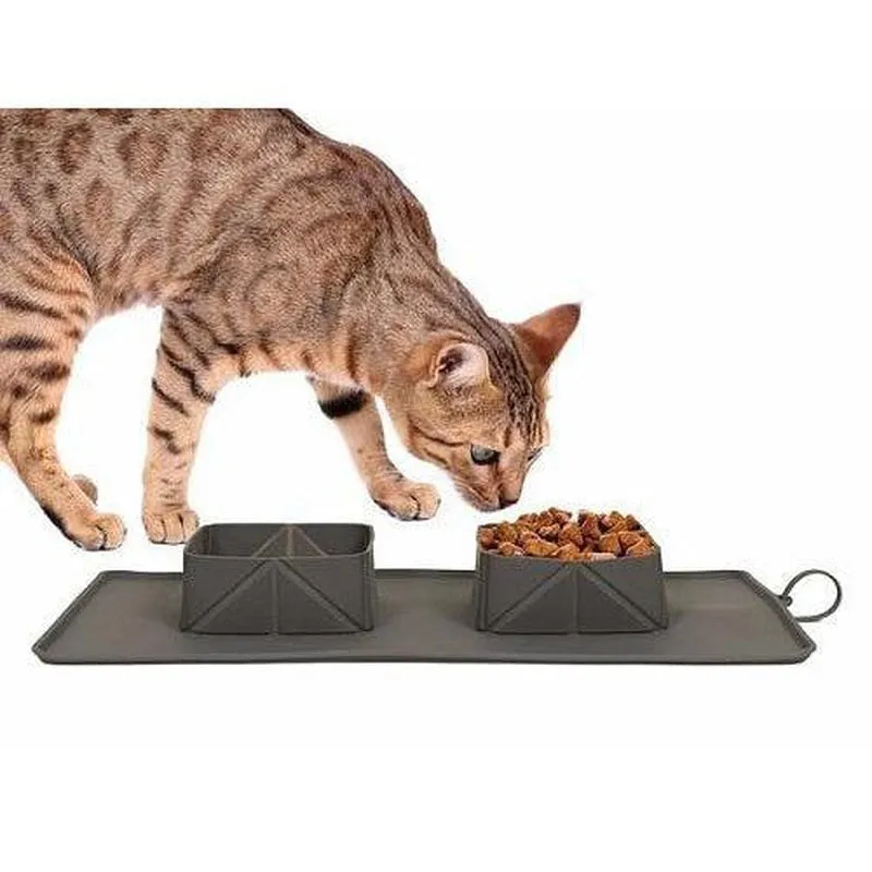 Portable Pet Bowl