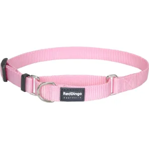 Red Dingo Classic Martingale Dog Collar 25mm