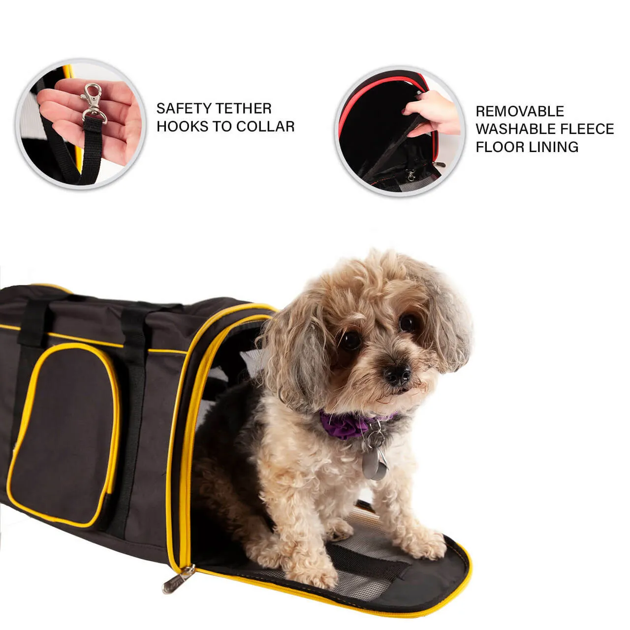 San Francisco Giants 16" Premium Pet Carrier