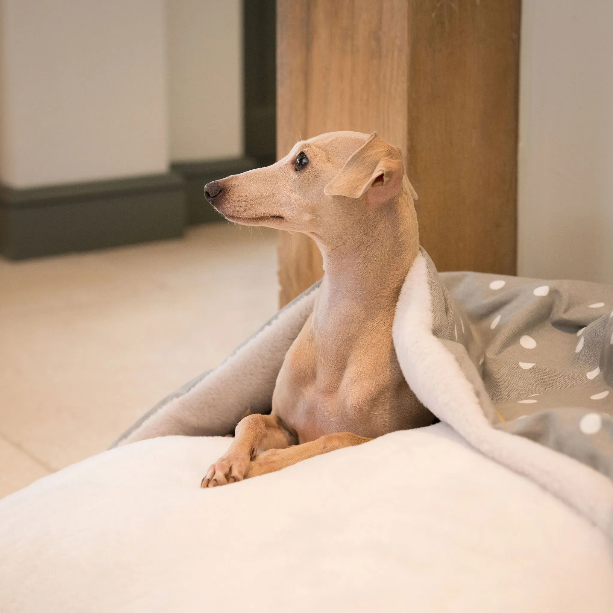 Sleepy Burrows Bed in Grey Spot by Lords & Labradors